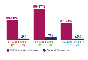 Chart showing relative risks for developing breast cancer at different age groups depending on BRCA1 and BRCA2 mutation. In women with BRCA1 and 2 mutations their risk of developing breast cancer by age 50 is 33-50% and only 2 percent in the general population. By age 70 these women are 56-87% likely to have breast cancer (7% in general population) and 37-44% likely to have ovarian cancer compared to the less than 2% of the general population
